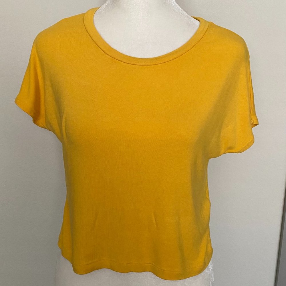 ZARA Crop‎ Top